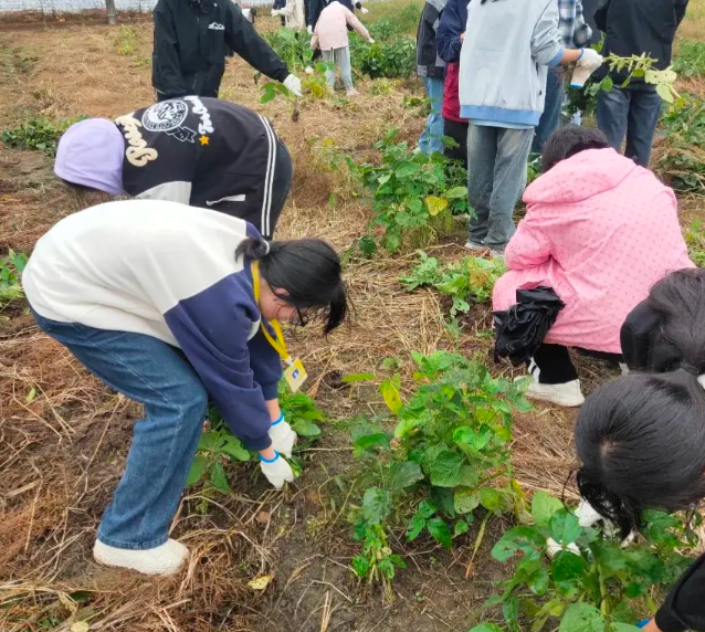 课后作业到学业评价全面分层让每一位学生都能适配自身学习节奏 课后作业到学业评价全面分层让每一位学生都能适配自身学习节奏