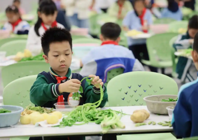 学段为阶依据不同年级孩子的认知特色设置梯度化劳作项目